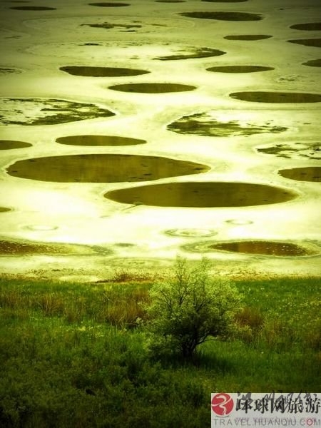 絕美奇觀：加拿大神秘斑點(diǎn)湖(組圖)