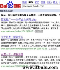 SEO知識(shí)－分析site首頁(yè)