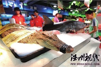 超市公開銷售鱷魚鯊魚引爭(zhēng)議(圖)