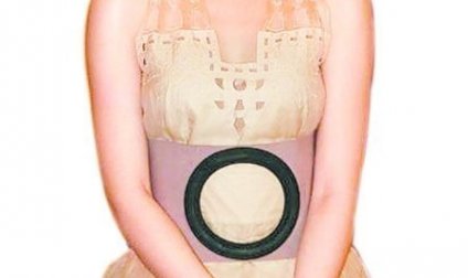 劉亦菲再穿山寨禮服 設計師:抄是看得起它(圖)