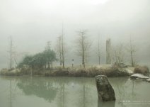 藝術攝影作品：宛若仙境