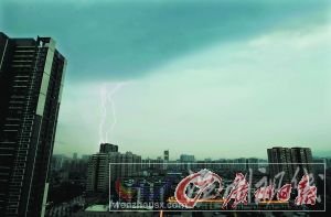 龍津中路一棵大樹被狂風刮倒，壓在出租車上。