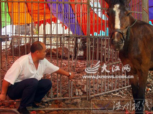 老虎從這里鉆出來的。