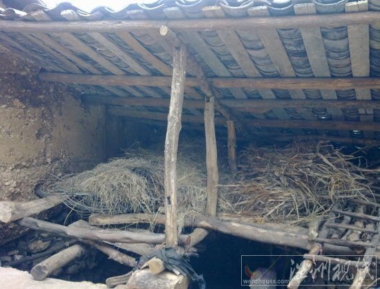 云南高院副院長：&ldquo;賽家鑫&rdquo;案十年后將成標桿