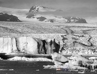 全球升溫影響北冰洋 海冰將在30年內消失 生物面臨絕
