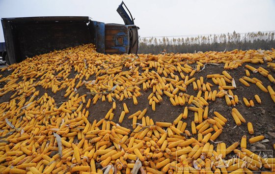 農(nóng)用車(chē)迎面撞爛寶馬