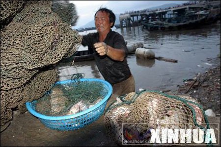 臺風之王“桑美”