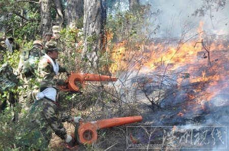西昌瀘山森林大火
