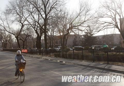 這個(gè)“五九”冷過(guò)“三九” 京城本周末溫暖再現(xiàn)