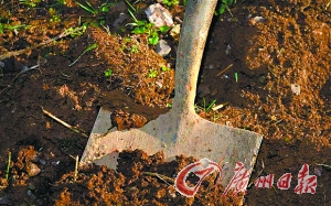 挑戰(zhàn)紀錄被活埋