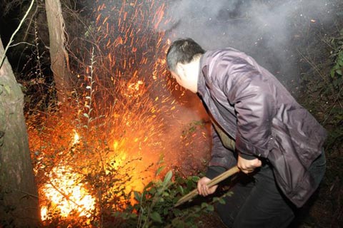 湖南漣源發生森林大火 過火面積近200畝(圖)