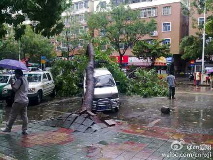 微博直擊臺風&ldquo;韋森特&rdquo;