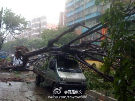 微博直擊臺風&ldquo;韋森特&rdquo;（滾動）