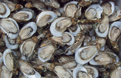 溫州烏螺中毒事件