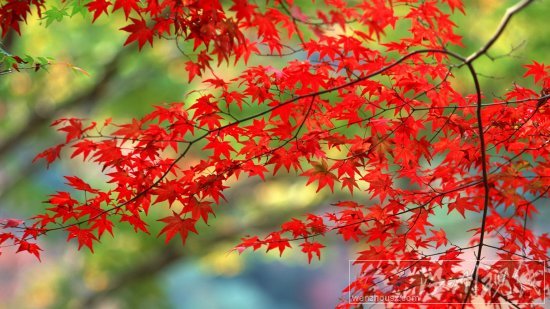 今年中秋節天氣