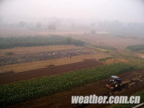 近日河北天氣晴朗 農(nóng)民忙著秋收秋種
