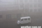 4日上午遼寧大霧多條高速被封