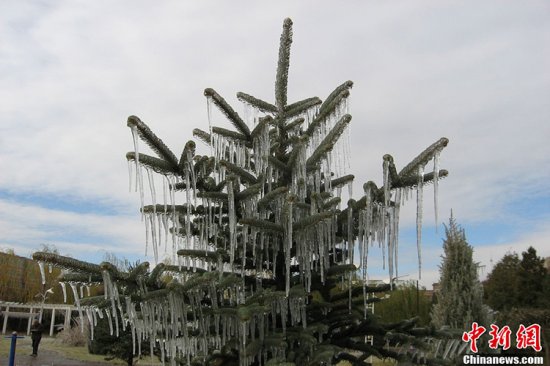 張家口蔚縣暴雪