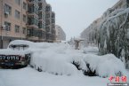 張家口蔚縣暴雪 11月4日張家口蔚縣大雪刷新58年歷史