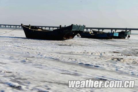 山東青島 膠州灣出現初生海冰