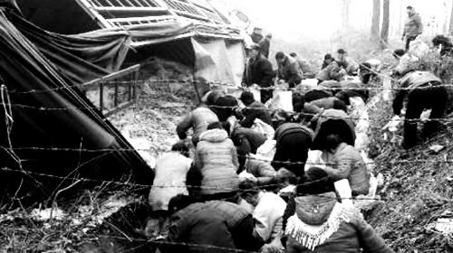 許平南高速貨車側翻19噸胡蘿卜遭哄搶