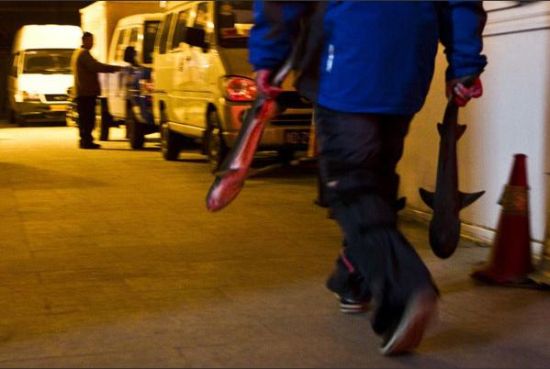 南京路鯊魚缸爆裂