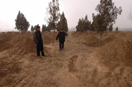 一夜恢復百萬墳墓