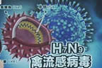 全國第4例禽流感病例 南京發現h7n9禽流感疑似病例