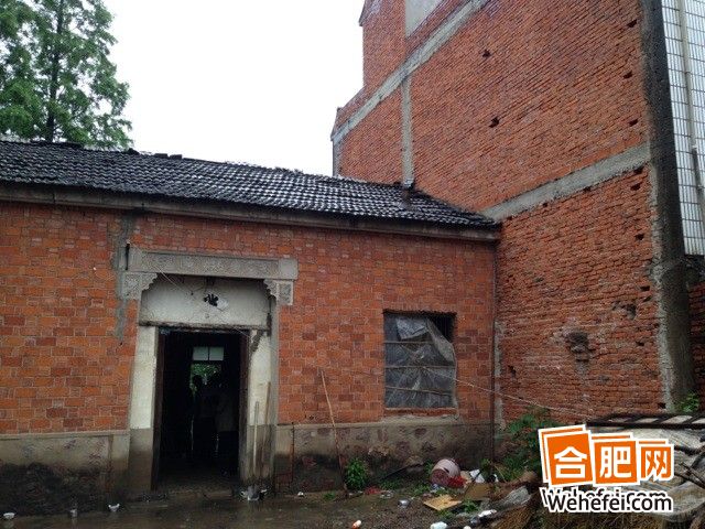 袁利亞(袁麗亞)的死因系自主高墜