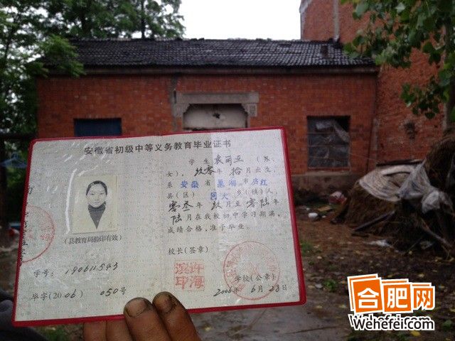 袁利亞(袁麗亞)的死因系自主高墜