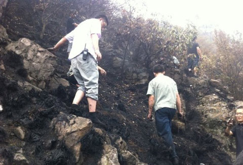 杭州西湖景區(qū)火災(zāi) 1日中午西湖景區(qū)森林遭雷擊起火