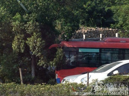 301公交車塞巴瓦撞樹上