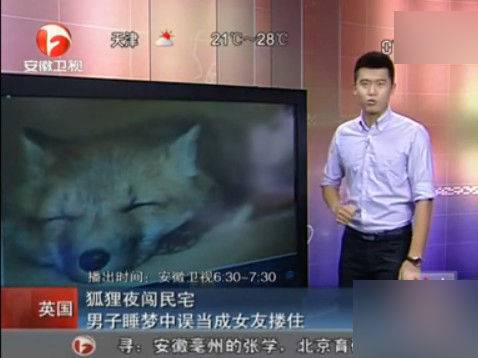 男子睡夢中誤把狐貍當(dāng)女友