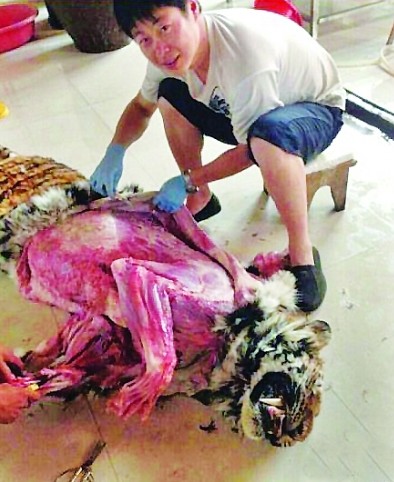 網(wǎng)友曬剝老虎皮照