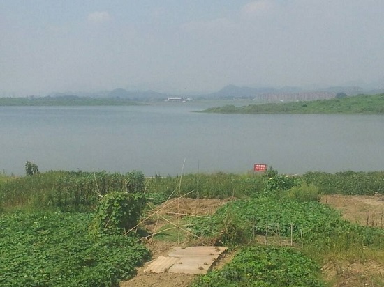 中秋游湖賞月落水 余杭南湖5人游湖時翻船落水3人遇難