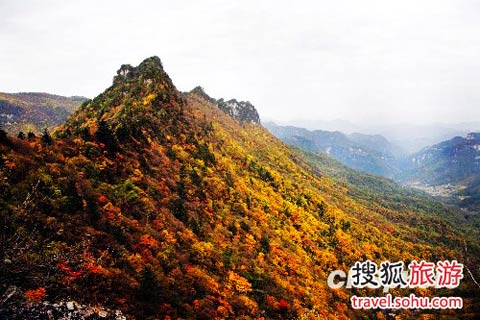 紅得讓你陶醉 秋季最靠譜賞紅地推薦 