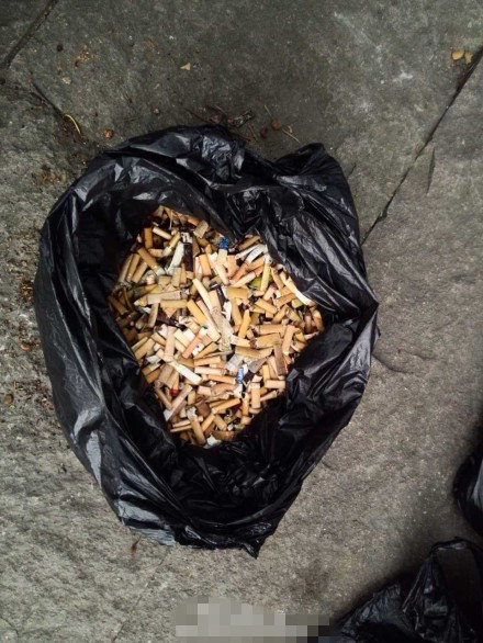 景區(qū)不文明現(xiàn)象之西湖煙蒂