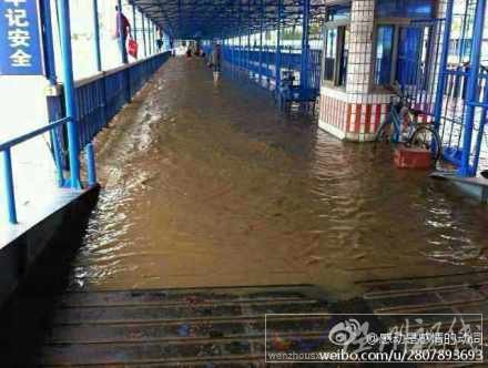 臺風菲特登陸受災情況