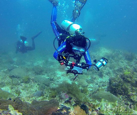 溫州戶外達人貞妤菲律賓潛水