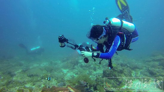 溫州戶外達人貞妤菲律賓潛水