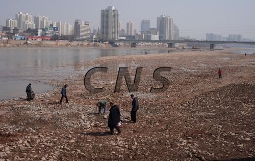 市民尋覓黃河奇石