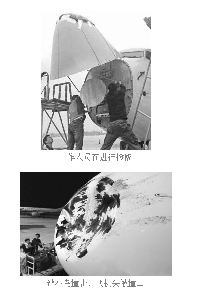 海航飛機(jī)被鳥撞凹 機(jī)頭雷達(dá)罩被撞出大窟窿