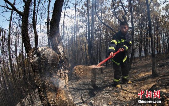 攀枝花森林火災