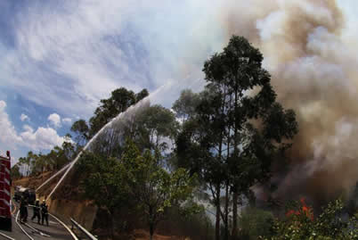 攀枝花大火 5月31日四川攀枝花保安營機場附近發生森