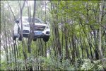 溫州一越野車掛樹上