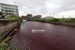 溫州河水變紅的原因查明 河水變紅原因系被染料染紅