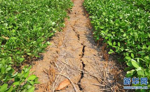 今年河南高溫天氣不斷