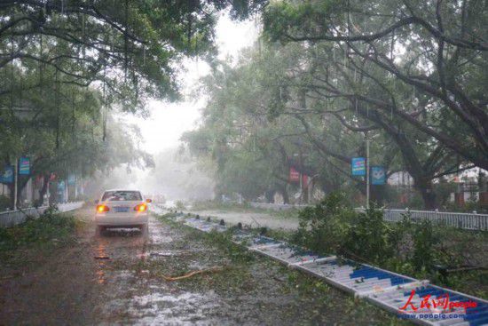 威馬遜臺風經過廣西留下一片狼藉