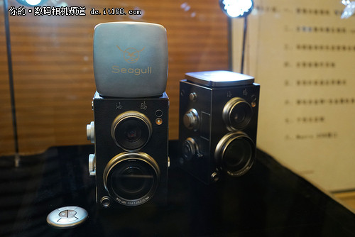 海鷗相機