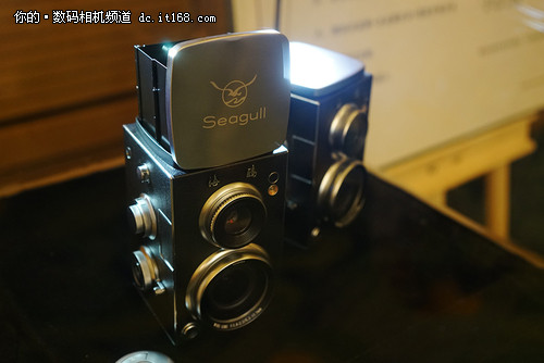 海鷗相機